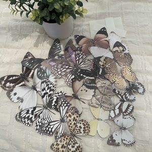 Pottery Barn Kids 3D butterflies. Never been used.